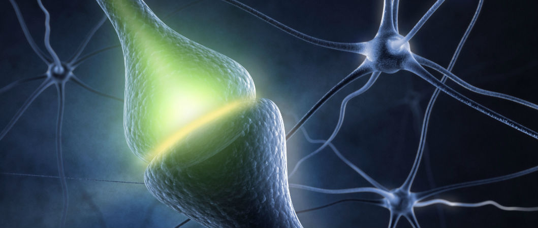 3-d image of pain synapses