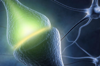 3-d image of pain synapses